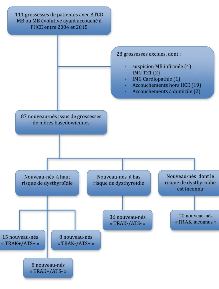 Figure 1: Flow-Chart 