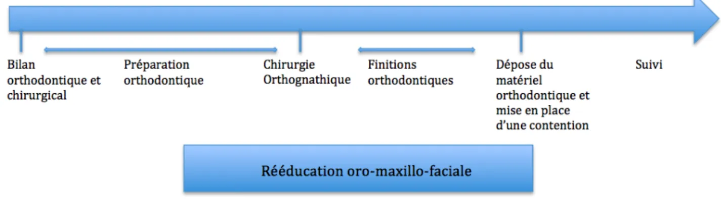 Figure   19   :   Calendrier   thérapeutique   global   (schéma   personnel)           