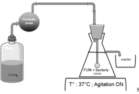 Figure 1 : Représentation schématique du dispositif 