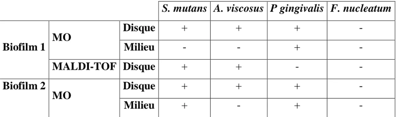 Tableau 6 : Identifications bactériennes sur les biofilms avec S. mutans, A. viscosus, P