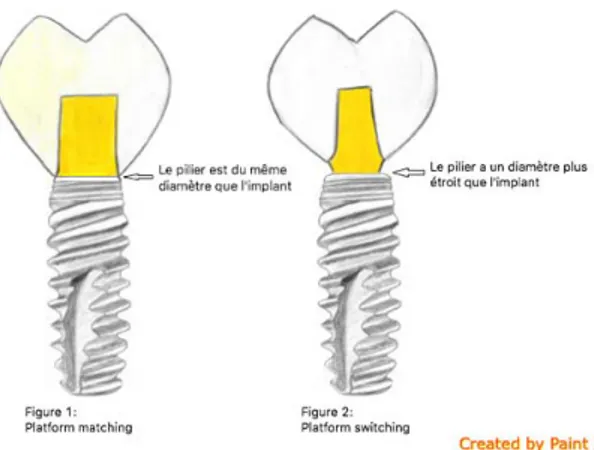 Figure 6 : Le concept de platform matching (1) en comparaison au platform switching (2)  (Dessiné par Anne-Laure LEVAUDI) 