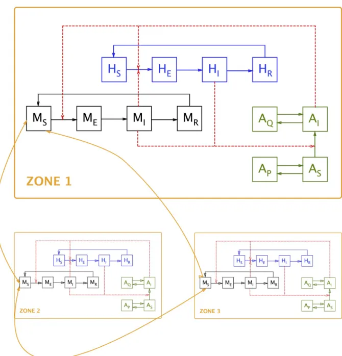 Fig 2. Diagrammatic representation of the model. Note: for the sake of clarity, inter-zone movement is indicated only for the susceptible animal compartment (M S ); it is identical for all other compartments