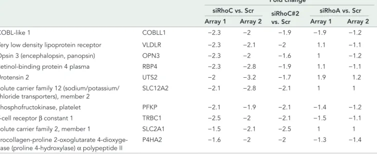 TABLE 1:  Selected genes regulated in PC-3 cells following RhoA or RhoC silencing. (Continued)