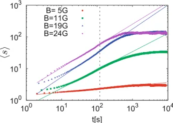 Fig. 3. Images from experiment performed with a magnetic ﬁeld B = 24 G. A part of a chain exhibits a typical behavior from dynamical equilibrium