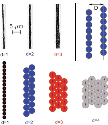 Fig. 5. Structures wider than one particle (magnetic ribbons).