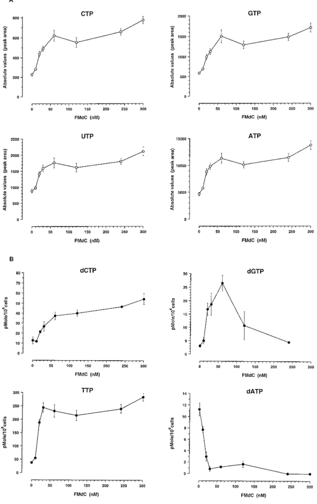 Fig. 7. Variations of dNTP and NTP levels in exponentially growing human colon carcinoma cells incubated with FMdC