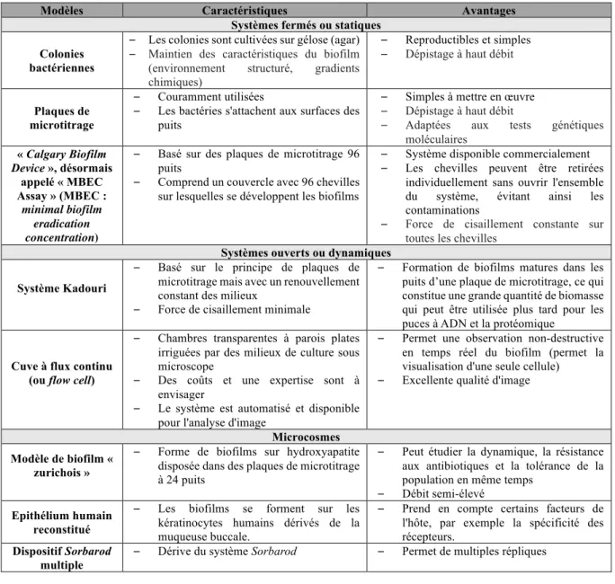 Tableau 2 : Liste non exhaustive de biofilms in vitro les plus couramment employés (21) 