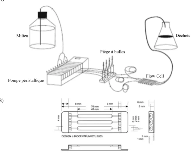 Figure 10 : A) Schéma du système dit en chambres à flux ou « flow-cell », B) Flow Cell 