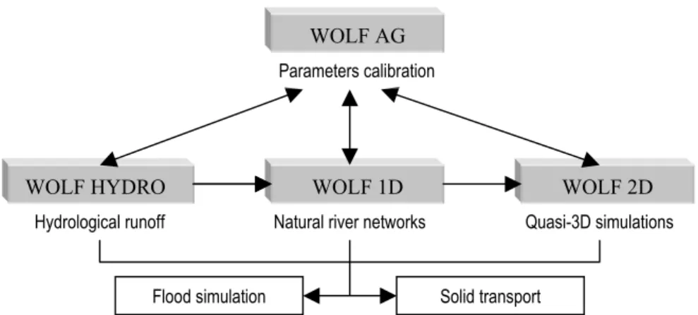 Figure 1 : general organization of WOLF computation units. 