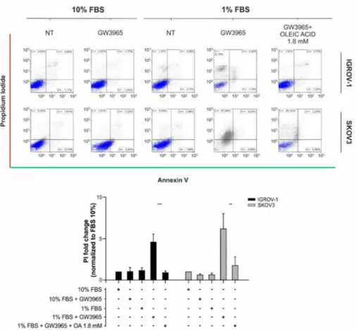 Figure 6. GW3965 effect on IGROV-1 and SKOV3 ovarian cancer cell death. Apoptosis/necrosis evaluation in cancer cells following GW3965 treatment at IC50 concentrations and under serum starvation (1% FBS) with supplementation of oleic acid (1.8 mM)