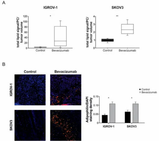 Figure 2. Increase of intra-tumor lipid amount following anti-VEGF therapy. (A) Evaluation of the tumor lipidome component by LC-MS in IGROV-1 and SKOV3 tumor xenografts following anti-VEGF therapy