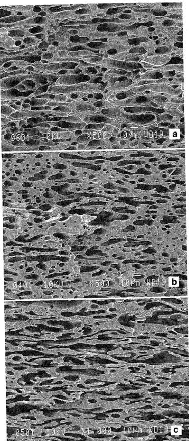 Fig 13a-c Micrographs of (50/50) PS/HDPE samples after extraction of PS phase by THF: a  unsheared sample; b after steady step rate experiment; c after steady shear 