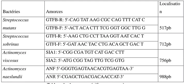 Tableau 1 : Amorces spécifiques aux espèces.
