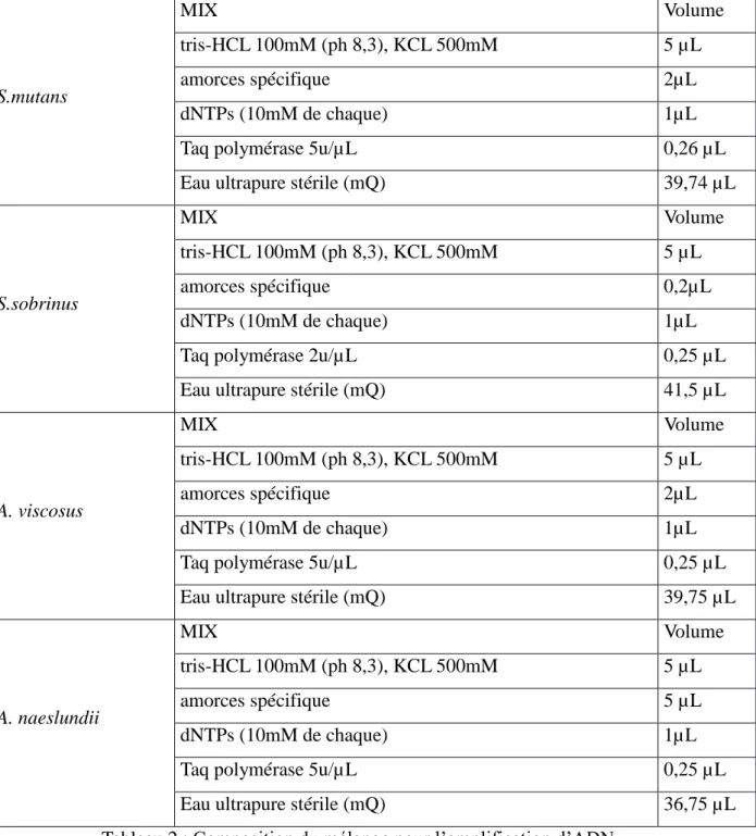 Tableau 2 : Composition du mélange pour l’amplification d’ADN.