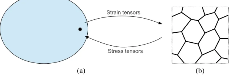 Figure 1. Multi–scale computational modeling of cellular materials: (a) macroscopic homogenized continuum medium, (b) micro–structure with cell walls and void parts