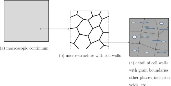Figure 2.1: Multiple scales involved in cellular materials.