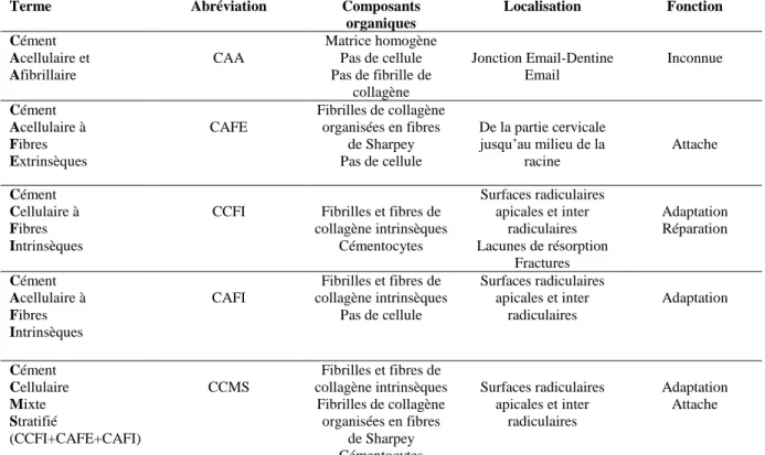 Tableau 1. Composition et fonctions des différents types de cément (4). 