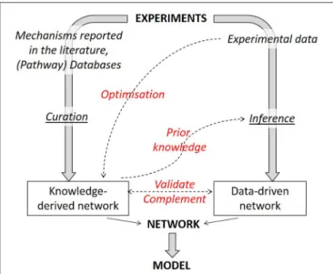 FIGURE 4 | Strategies to combine knowledge-derived and data-based modeling. When deriving a network graph from experimental results, different routes can be followed, either a mechanistic one (using available knowledge) or a data-driven one