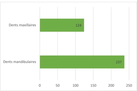 Figure 2 : Proportions de dents inter-arcades 