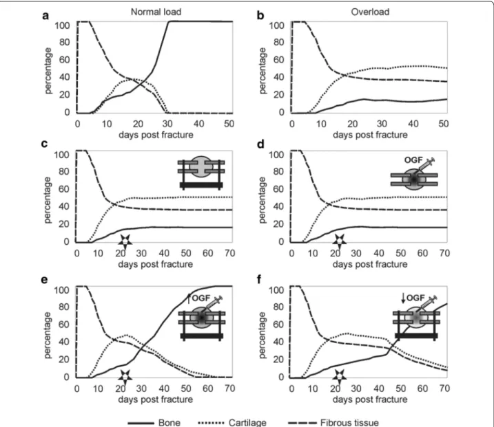 Fig. 7  Fracture healing evolution under several loading conditions and treatment strategies