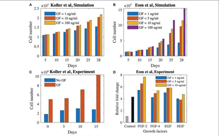 FIGURE 5 | Proliferation potential of cells treated with growth factors in static and dynamics culture set-ups