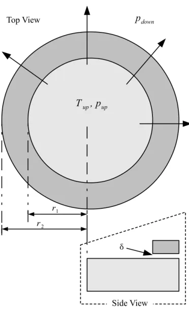 Figure 2: Radial leakage geometry schematic