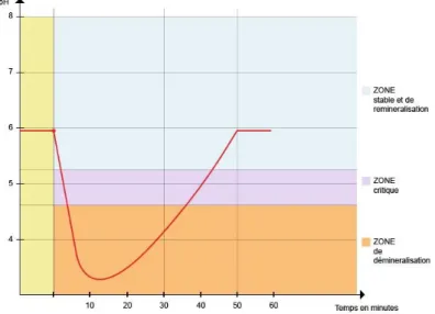 Figure 2 :  Courbe de Stephan (évolution du pH en fonction du temps après consommation de sucre)                   Université de Rennes 1 selon C