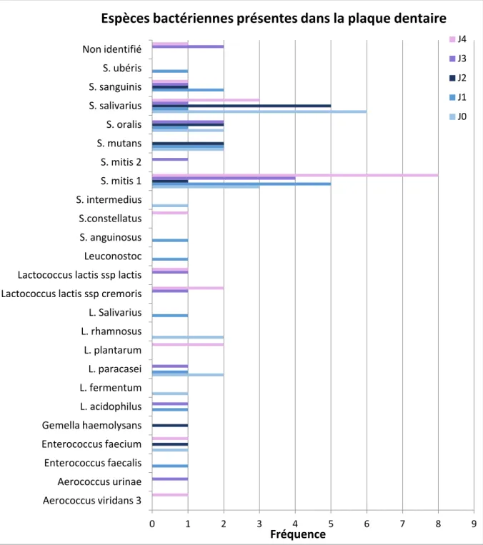 Figure 3 : Espèces retrouvées dans la plaque dentaire 