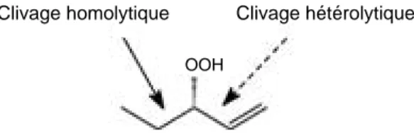 Figure 2. Les clivages homolytique et hétérolytique des hydroperoxydes d’acides gras catalysés par l’hydroperoxyde lyase — Homolytic and heterolytic cleavages of fatty acids hydroperoxides catalysed by hydroperoxide lyase.