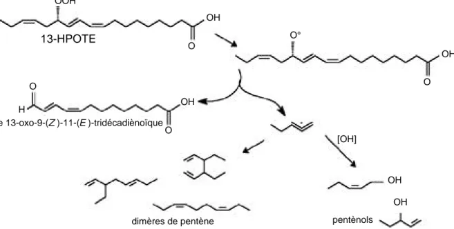 Figure 5. Clivage homolytique des hydroperoxydes catalysé par la lipoxygénase de soja