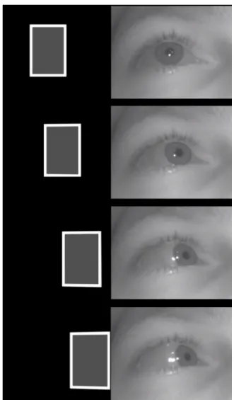 Figure 3.8 shows a few images of a video of this anonymous dataset.