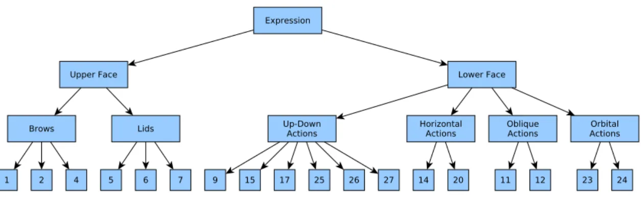 Figure 4.2 show some examples of peak facial expression from the CK+dataset. Additionally,
