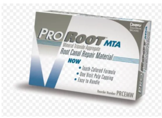 Figure 10 - Le ProRoot® MTA de Dentsply™ 
