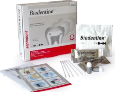 Figure 11 - Présentation du Biodentine™ de Septodont™ 