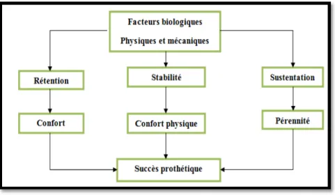 Figure 2 : Interrelation entre les qualités mécaniques de la prothèse et les incidences psychologiques  et physiologiques (D’après Jacobson) 