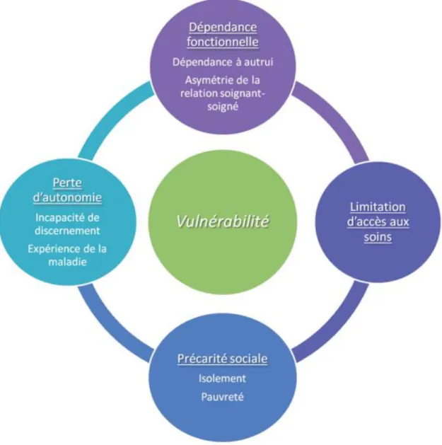 Fig 7 : facteurs responsables de vulnérabilité 