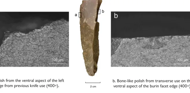 Fig. 2 – Evidence of impact on burin B51 (reworked from a used projectile).
