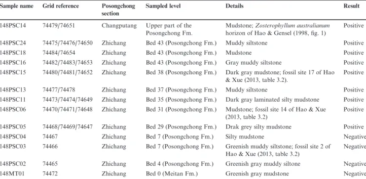 Table 1 Details of studied samples from the Posongchong Formation.