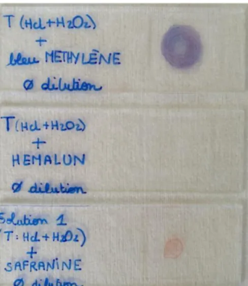 Figure 6 : Coloration de la solution à l’aide de trois colorants (source : E. Lacaze) 