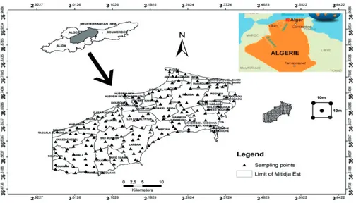 Figure 1. Location of the Mitidja plain and distribution of soil sampling sites.