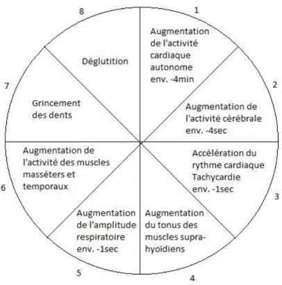 Figure 1 – La « roue » de la pathophysiologie du bruxisme, en rapport avec les micro-éveils  répétitifs, d’après Lavigne