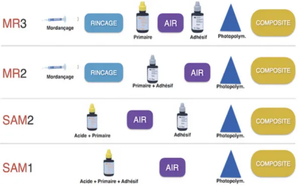 Figure 4 :  Etape des protocoles adhésifs  (2)    