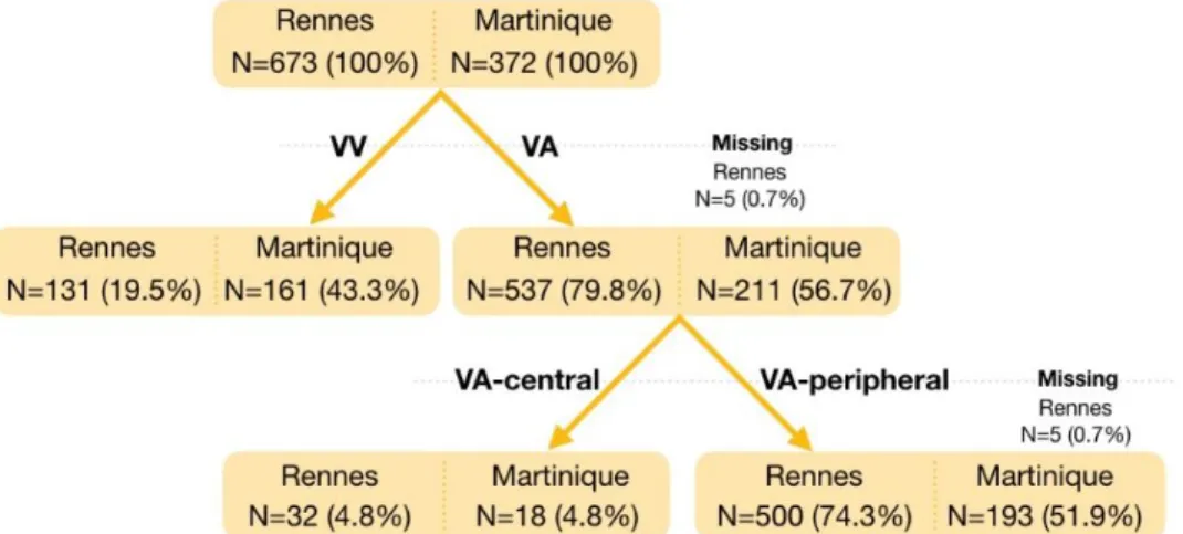 Figure 5. Diagramme des flux. A Rennes 673 ECMO ont été posées, 537 ECMO-VA contre 131 ECMO- ECMO-VV et 32 ECMO-VA centrales contre 500ECMO-VA périphériques
