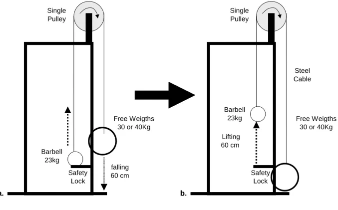 Figure  3  –  Schematic  representation  of  the  lifting  simulation  before  (a)  and  after  (b)  barbell  release