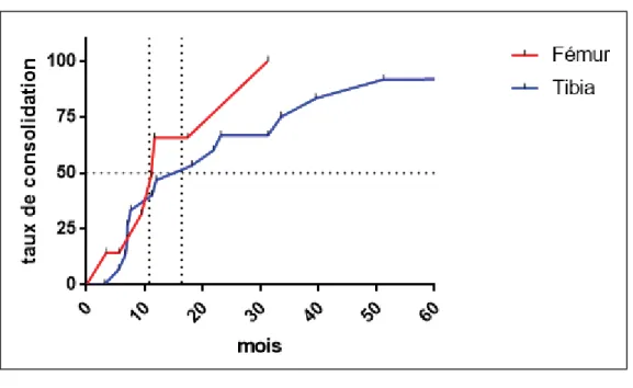 Figure 3. Taux de consolidation en fonction du temps pour les groupes Fémur et Tibia 