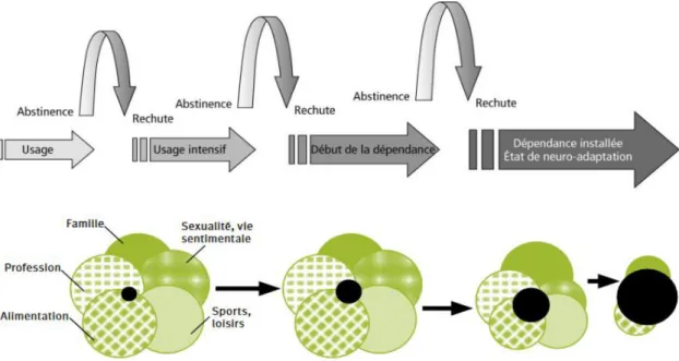 Figure 1 : Illustration de l’aspect progressivement envahissant de l’addiction à la cocaïne sur la vie d’un sujet