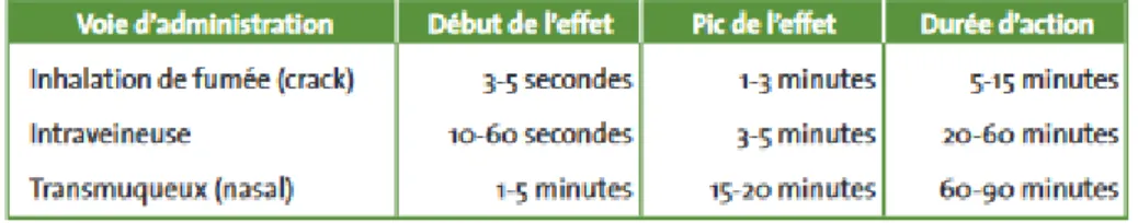 Tableau 3: Pharmacocinétique de la cocaïne (d'après Egred et al. Post Med J, 2005).(17) 