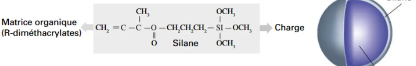 Figure 6 : molécule de silane 4