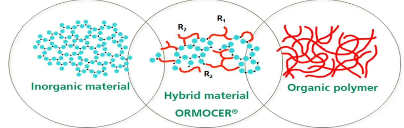 Figure 11 : Schéma matrice ORMOCER® 10 . 