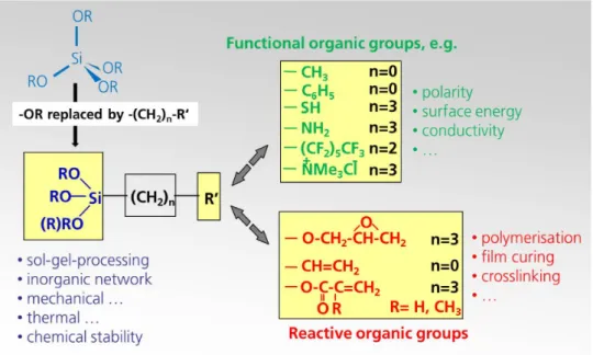 Figure 12 : Schéma sur la composition de la matrice ORMOCER® 10